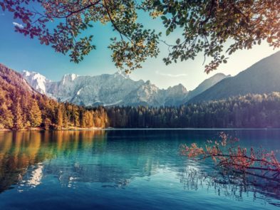 shutterstock_1458128810